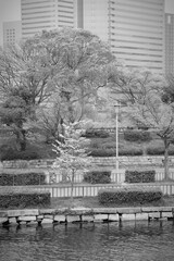 Osaka. Japan black and white.