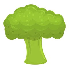 Broccoli ingredient icon. Cartoon of broccoli ingredient vector icon for web design isolated on white background