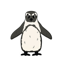 Vector outline illustration of penguin. Doodle cartoon single isolated fluffy animal on white background. Front view.