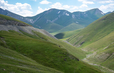 landscape in the mountains covered with green meadows