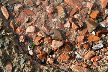 Red Sand and Stones of the red Sea Coast, Natural Texture Background