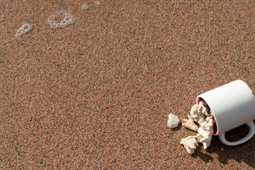 White Corals Collection in a Mug on Red Sand of the Red Sea Coast