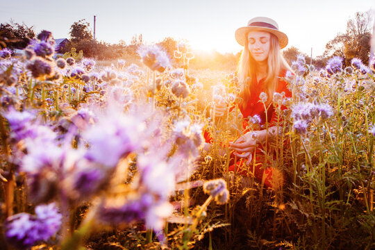 Beautiful young woman in violet phacelia flowers field in sunset tima
