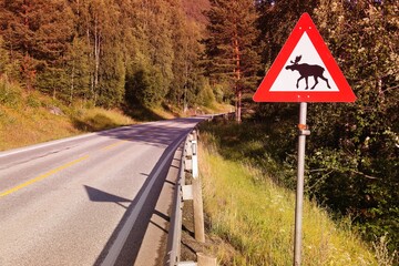 Moose warning sign in Norway