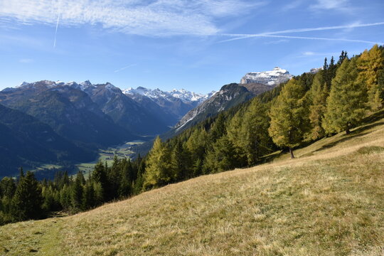 Wandern am Blaser am Brenner in Tirol im Almgebiet