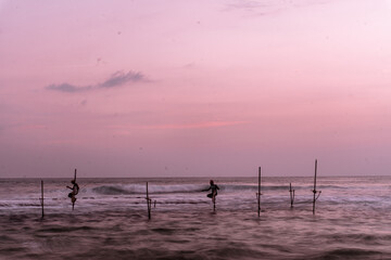 Lokalni tradycyjni rybacy wędkarze na palach w oceanie na tle zachodzącego słońca.