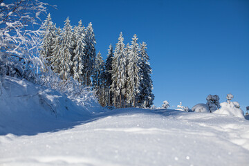 Winter im Thüringer Wald