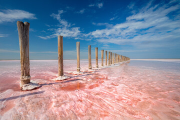 Minimalistic landscape - pink color of salt lake, Ukraine. Miracle of nature