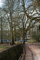 footpath in the park