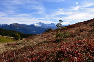 Wandern am Blaser am Brenner in Tirol im Almgebiet