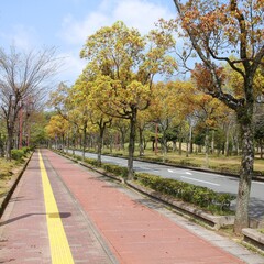 Himeji park - cycling path in Japan. Cycle path infrastructure of Japan.