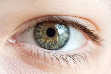 Fototapeta premium Close up of one eye. Human eye. 