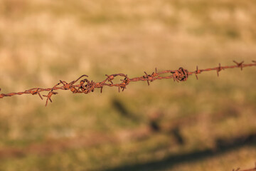 Fototapeta na wymiar Barbed wire 