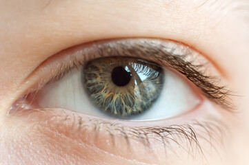 Close up of one eye. Human eye. 