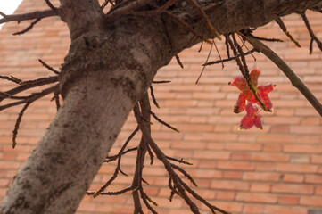 otroño en la ciudad