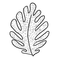 Leaf, set, scand, artbo