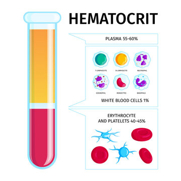 Blood Cells Plasma Infographics