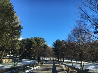 Obraz premium park