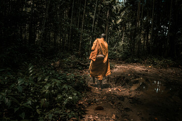 Buddyjski mnich w pomarańczowej szacie samotnie wędrujący przez dżunglę. - obrazy, fototapety, plakaty