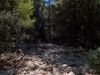 riverbed hiking majorca, balearic, spain