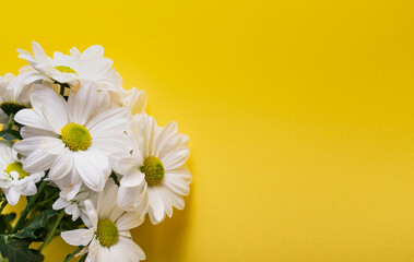 fresh flowers, white chrysanthemums. the concept of a postcard. bunch of cut natural flowers, close-up. copyspace