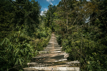 Drewniany most wiszący nad rzeką w gęstym lesie, droga podróżnika.