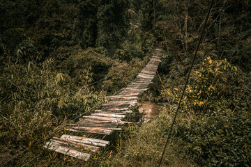 Panele Szklane  Drewniany most linowy rozwieszony pośród dżungli.