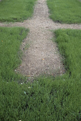 Obraz premium Vorbereitetes Graeberfeld auf dem Hauptfriedhof Worms