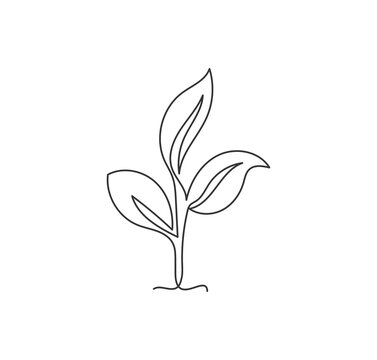 One single line drawing of natural green organic plantation for farming logo identity. Plant bud ecology icon concept from growth leaf shape. Trendy continuous line draw design vector illustration
