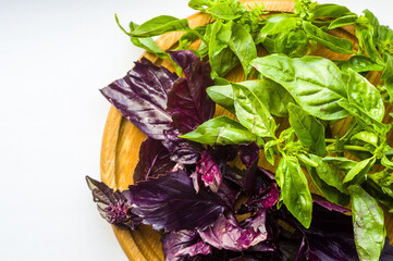 fresh green and purple basil leaves for healthy cooking, herbs and spices on wooden cutting board, close-up