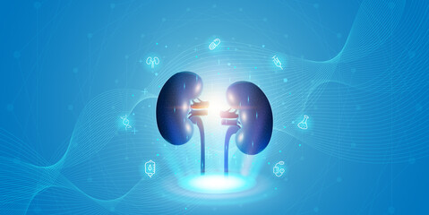 Human kidney and treatment with technology innovation. A concept hospital for wallpaper and web.