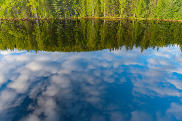trees that are reflected in the waters of a river