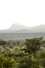 A mountain landscape of the african bushveld