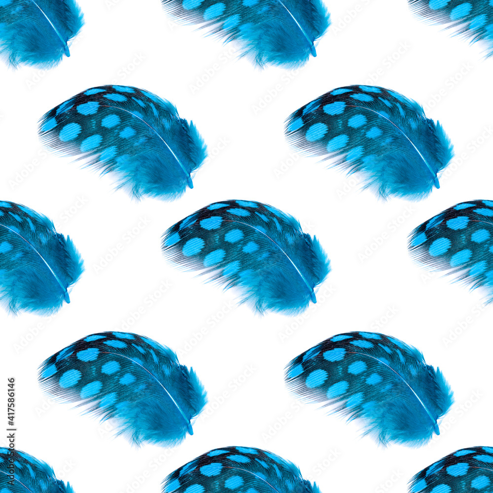 Poster seamless pattern blue beautiful feathers isolated on a white background