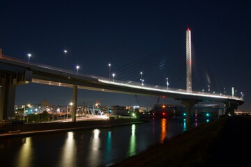 Fototapeta na wymiar 葛飾ハープ橋のある風景 夜景