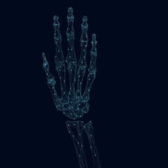 Wireframe of the skeleton of a human hand made of blue lines with glowing lights on a dark background. 3D. Vector illustration