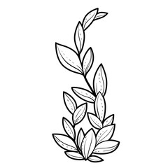 Tall seaweed coloring book linear drawing isolated on white background