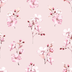 Floral seamless pattern with sakura branches on delicate pink background. Watercolor spring illustration with flowers, buds and leaves cherry blossom.