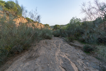 small dry stream in the south of Spain