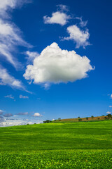 soy plantation, agriculture and development