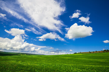 soy plantation, agriculture and development