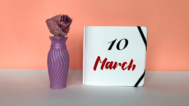 March 10 on a white paper .Next to it is a vase with a flower on an orange background.Calendar for March.The first month of spring .