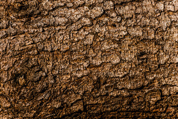 wood texture