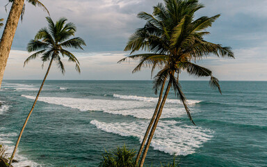 Tropikalny krajobraz, palmy na tle oceanu i nieba.
