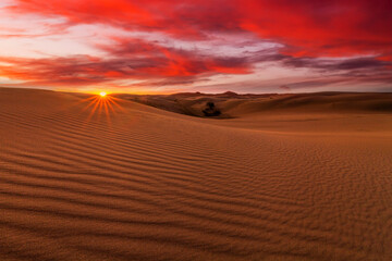 Fototapeta na wymiar Beautiful sunset over the sand dunes in the Arabian Empty Quarter Desert, UAE. Rub' al Khali