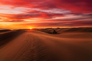 Obraz na płótnie Canvas Beautiful sunset over the sand dunes in the Arabian Empty Quarter Desert, UAE. Rub' al Khali
