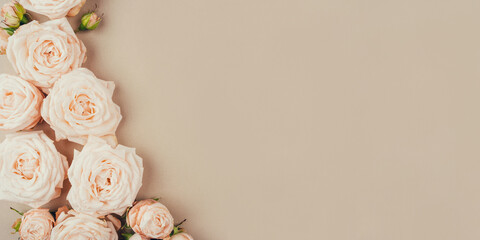 Spring background. Rose flowers on a beige background. Flat lay. Copy space for your text.