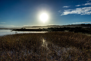 susnset over the wetland