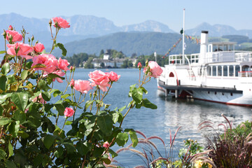 Der Dampfer 