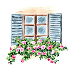 Open window wild climbing roses. Hand drawn watercolor illustration, isolated on white background